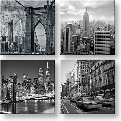 Obraz na stenu Big apple - 40x40 cm