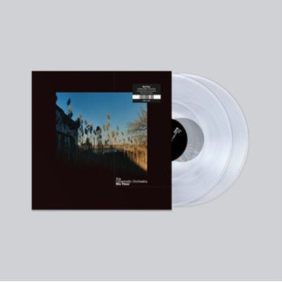 Ninja Tune CINEMATIC ORCHESTRA - Ma Fleur LP – Hledejceny.cz