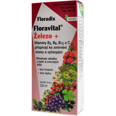 Salus Floravital železo+ 250 ml