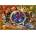 Bluebird Puzzle - Puzzle Marchetti: Legacy of the Divine Tarot 1000 - 1 000 piese
