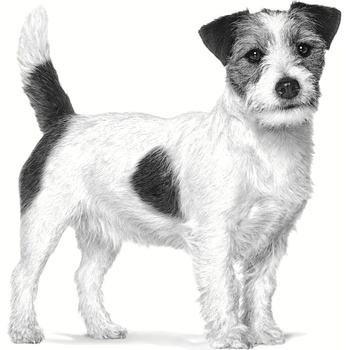 Royal Canin Veterinary Health Nutrition Dog Hypoallergenic Small 1 kg