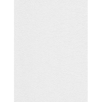 DIMEX ART Презаписваем влизолинов тапет за стена wpe-901065