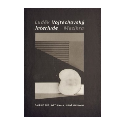 Mezihra - Luděk Vojtěchovský