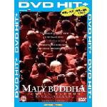 DM discont Малкият Буда - dvd (023094)