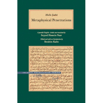 Metaphysical Penetrations