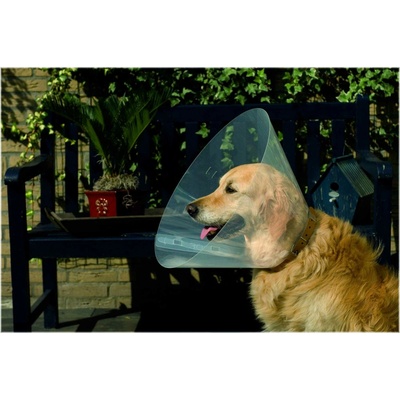 Beeztees Obojek pro psy DOG COLLAR