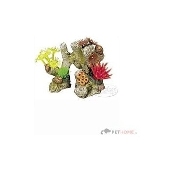 Nobby Korál s rostlinami 11x7x8,5 cm