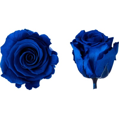 Hlavy ruží - mini 12 ks Royal blue - tmavo modrá