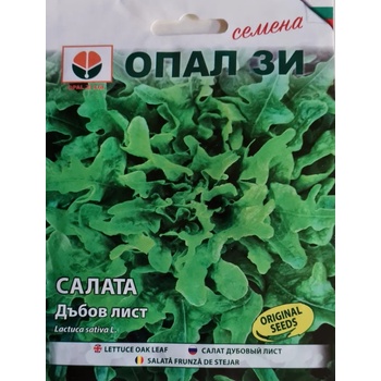 Image 1 of Opal Zi Салата Дъбов лист (зелена)