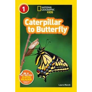 Image 1 of National Geographic Kids Readers: Caterpillar to Butterfly