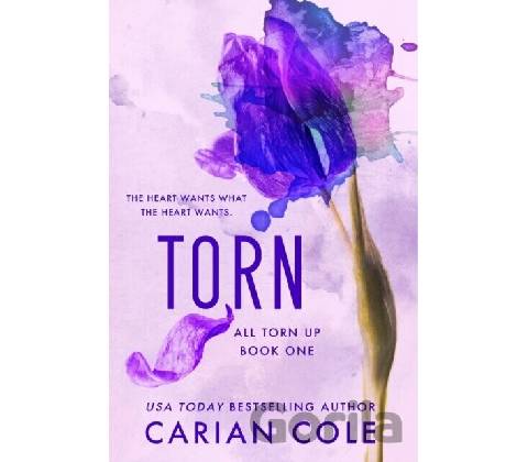 Torn - Carian Cole