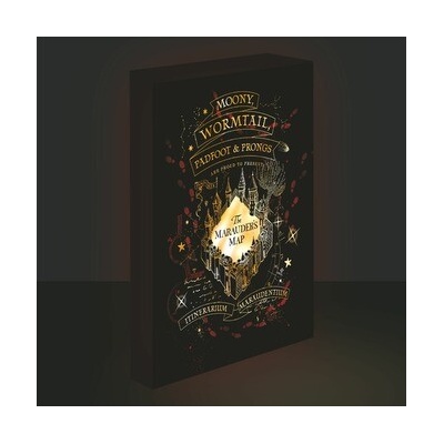Paladone Svietiaci obraz Harry Potter - Záškodnícky plánik