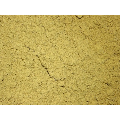 Les fruits du paradis Dýňový protein BIO 25000 g