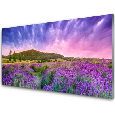 Obraz na skle Louka Květiny Hory Příroda 100x50 cm