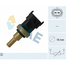 FAE-33495