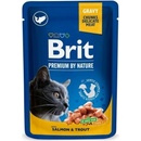 Brit Premium Cat Salmon & Trout 24 x 100 g