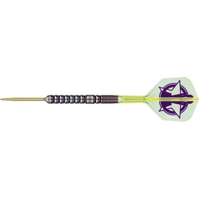 steel Target Luke Littler 23g SP, 90% wolfram, edice World Champion 2025 23g