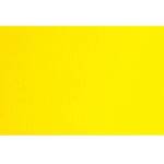 Fabriano Картон Colore, 70 x 100 cm, 140 g/m2, № 227, жълт (43303227/100_GIALLO)