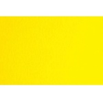 Fabriano Картон Colore, 70 x 100 cm, 140 g/m2, № 227, жълт (43303227/100_GIALLO)