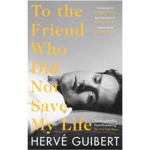To the Friend Who Did Not Save My Life (ISBN: 9781788168397)
