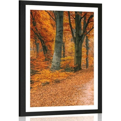 Plakát s paspartou les v podzimním období - 30x45 black