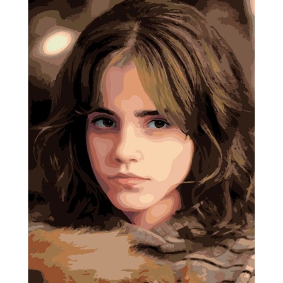 Zuty Рисуване по номера Портрет на Хърмаяни със строг поглед (Хари Потър) (M10-040-050-606703)