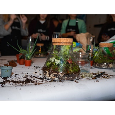 Kreativní workshop: Výroba mechárií