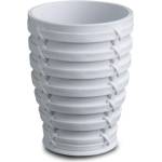 Primanova Pn-Поставка за четки за зъби palm БЯЛА (m-e58-01) (0137224)