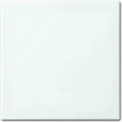 Busch-Jaeger 2CKA001434A0662