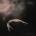 Pretty Reckless - Other Worlds CD