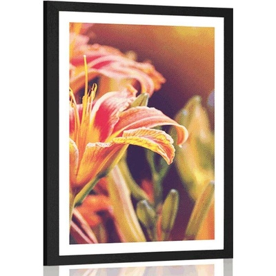 Plakát s paspartou krásně kvetoucí květiny v zahradě - 30x45 black