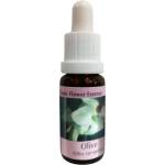 PHI Essences Възстановява силите - Есенция Маслина № 23, капки 15 ml (23 CLASSIC)