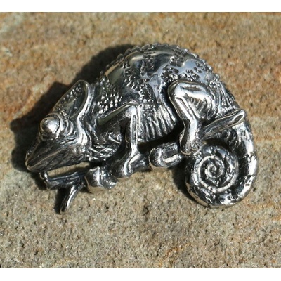 Drakkaria CHAMELEON stříbrný přívěšek P3970