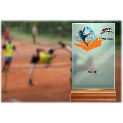 Skleněná trofej na dřevěném podstavci Nohejbal 17 cm
