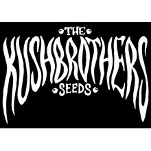 The Kush Brothers Seeds Langui Kush semena neobsahují THC 1 ks