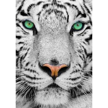 Image 1 of Enjoy - Puzzle White Siberian Tiger - 1 000 piese