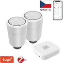 Hlavice pro radiátory Immax Neo Smart 07732B