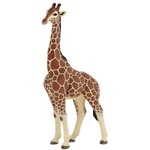 Papo Фигурка Papo Wild Animal Kingdom - Мъжки жираф (50149) - baby
