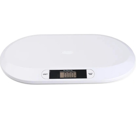 Bentech PT606