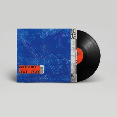 Water From Your Eyes - It's A Beautiful Place / Vinyl [LP]