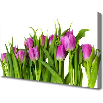 Obraz na plátne Tulipány kvety rastlina 100x50 cm
