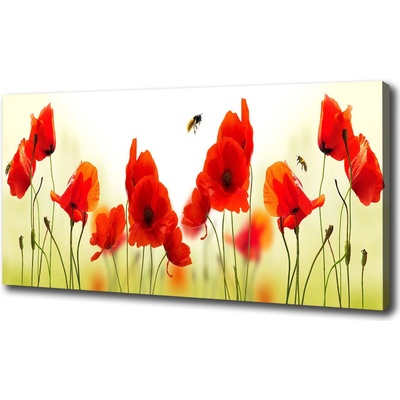 Foto obraz na plátne Maky 100x50 cm