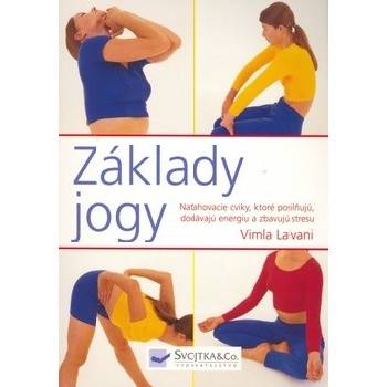 Základy jogy