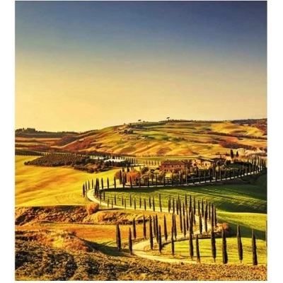 DIMEX ART Флизелинов фототапет тоскана 225 x 250 см