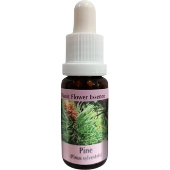 PHI Essences Есенция Бор № 24, капки 15 ml | PHI Essences (24 CLASSIC)