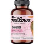 Fellows Супер добавка за стави за кучета със зеленоуста мида Fellows Joints 200gr