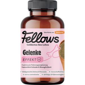 Fellows Супер добавка за стави за кучета със зеленоуста мида Fellows Joints 200gr