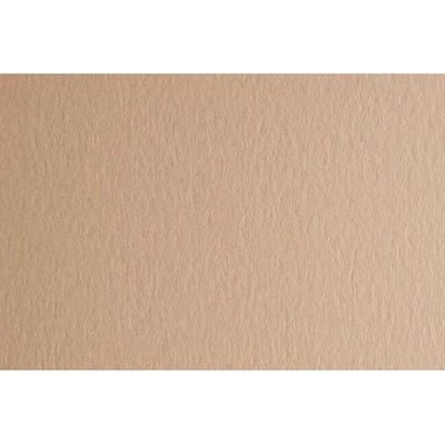 Fabriano Картон Colore, 50 x 70 cm, 200 g/m2, № 221, бежов (42303221/2_PANNA)