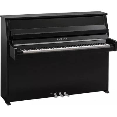 Yamaha B10 PEC
