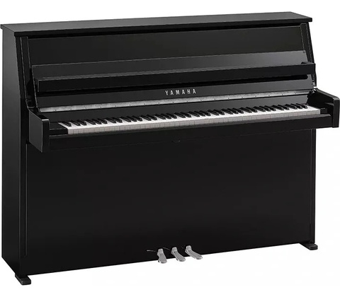 Yamaha B10 PEC